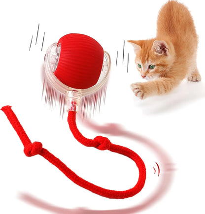 Catch&Play – Der smarte Jagdball für Katzen und Hunde