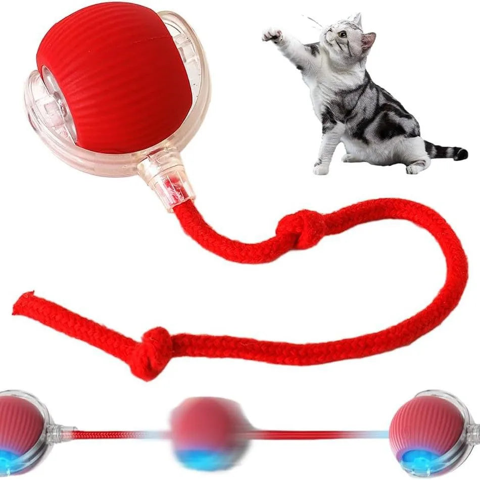 Catch&Play – Der smarte Jagdball für Katzen und Hunde