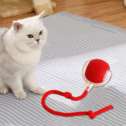 Catch&Play – Der smarte Jagdball für Katzen und Hunde