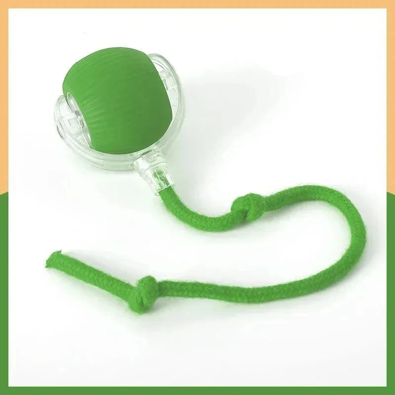 Catch&Play – Der smarte Jagdball für Katzen und Hunde