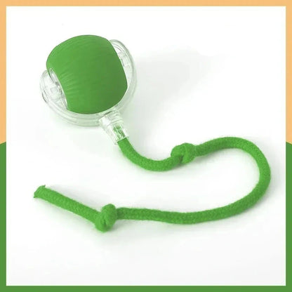 Catch&Play – Der smarte Jagdball für Katzen und Hunde